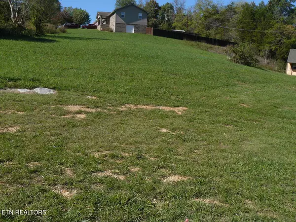 Tazewell, TN 37879,Cedar Fork Rd