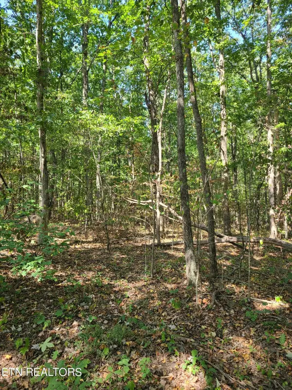 Crossville, TN 38572,Lot 3 Westwind WAY