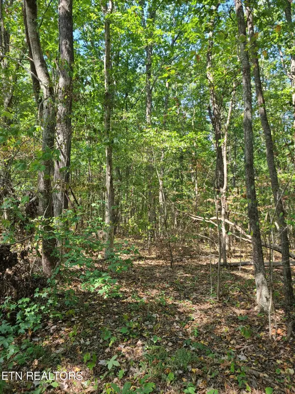 Crossville, TN 38572,Lot 3 Westwind WAY