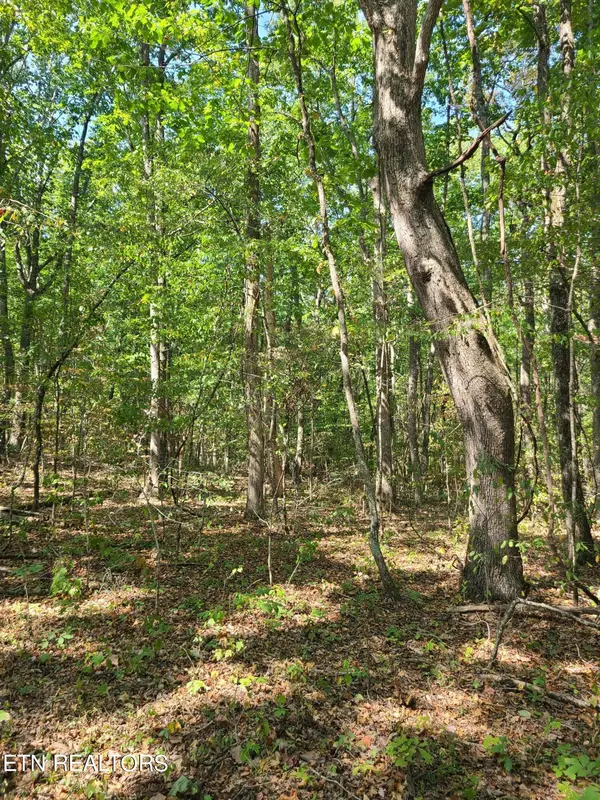 Crossville, TN 38572,Lot 3 Westwind WAY