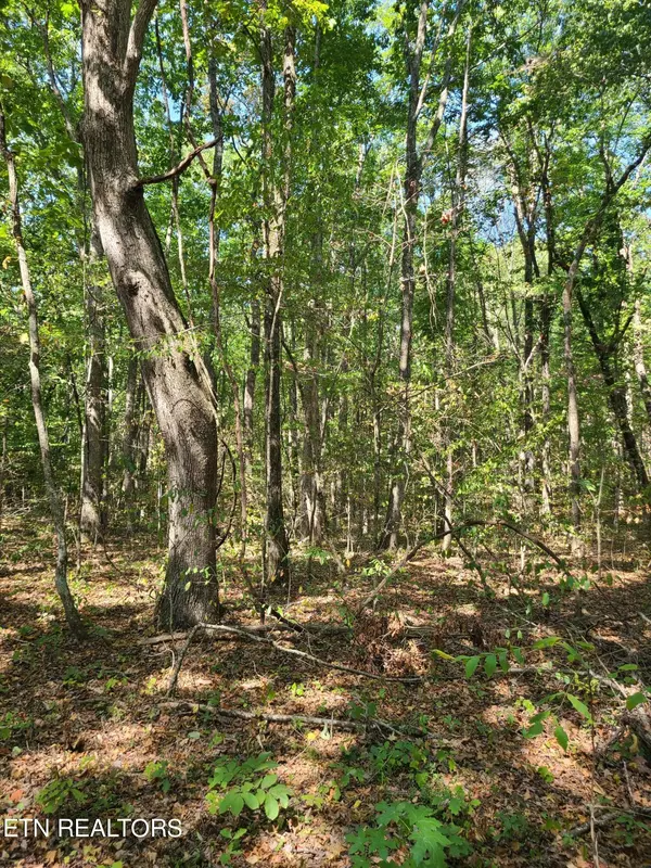 Crossville, TN 38572,Lot 3 Westwind WAY