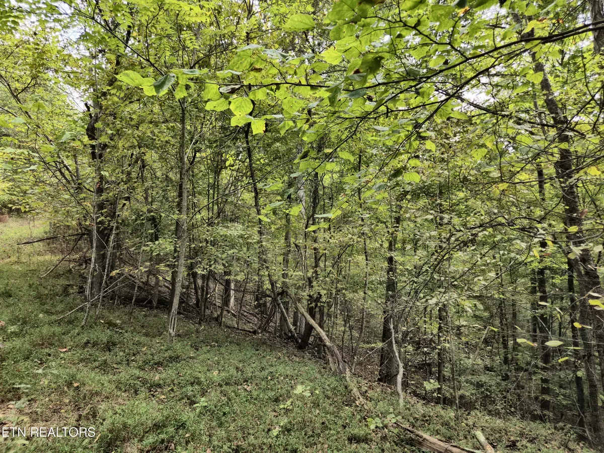 Baneberry, TN 37890,Hodges CT