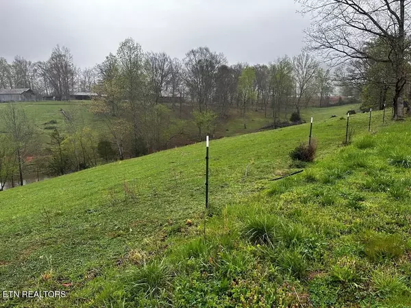 Byrdstown, TN 38549,43 AC Winningham Rd