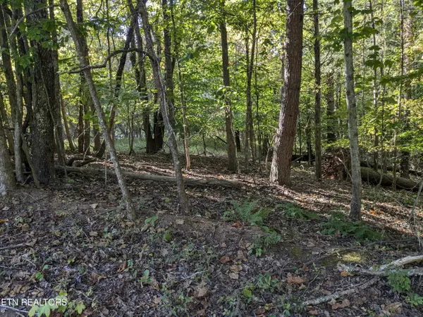 Ten Mile, TN 37880,0 Cherokee CIR