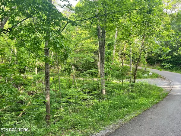 Sevierville, TN 37862,Lot 30 Brooke Hollow Lane LN