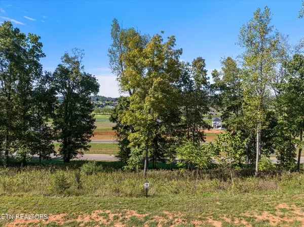 Loudon, TN 37774,1479 Black Cove LN