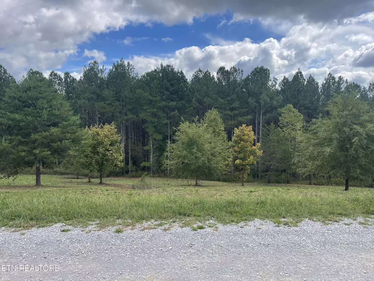 Delano, TN 37325,155 Hiwassee Trails Dr DR