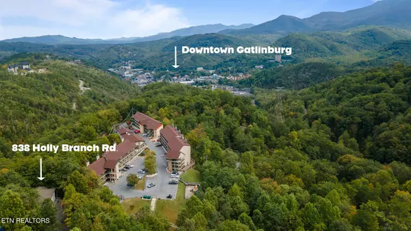 Gatlinburg, TN 37738,838 Holly Branch DR