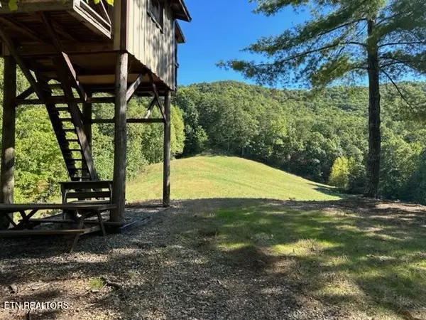 Del Rio, TN 37727,1585 Neddy Mountain Rd