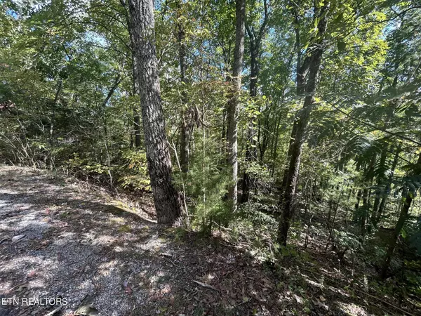 Sevierville, TN 37862,Lot 8 Hatcher Top Road