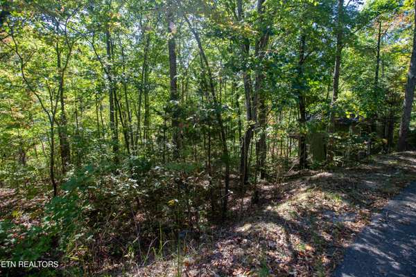 Lot 8 Hatcher Top Road, Sevierville, TN 37862