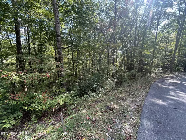 Sevierville, TN 37862,Lot 8 Hatcher Top Road