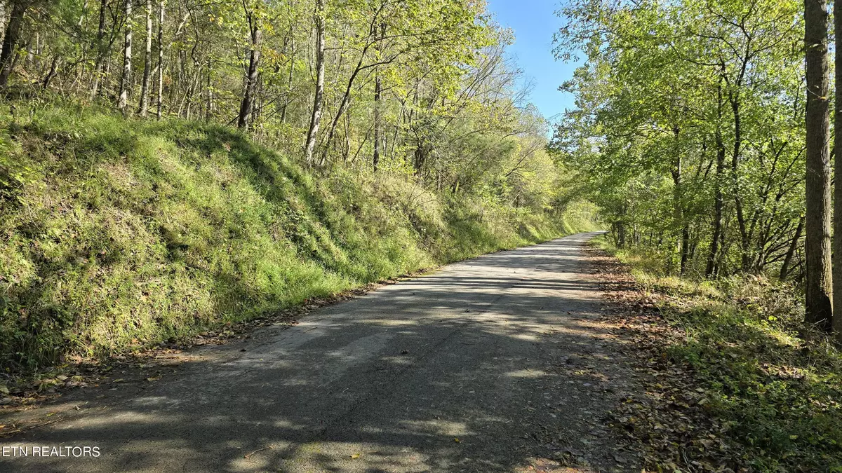 Jonesville, VA 24263,TBD Lower Wallens Creek Rd