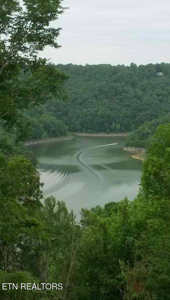 Baxter, TN 38544,10035 Water Plant Rd