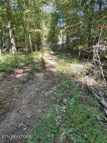 Lot 351 Diana DR, Spring City, TN 37381