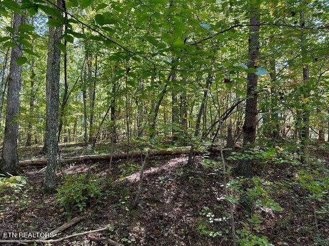 Spring City, TN 37381,Lot 353 Diana DR
