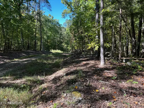 Lot 353 Diana DR, Spring City, TN 37381