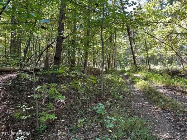 Lot 354 Diana DR, Spring City, TN 37381