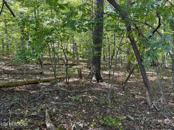 Lot 411 Smith Rd, Spring City, TN 37381