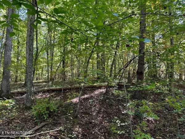 Spring City, TN 37381,Lot 412 Smith Rd