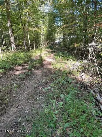 Spring City, TN 37381,Lot 412 Smith Rd