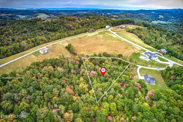 New Tazewell, TN 37825,Mica Court Lot 159