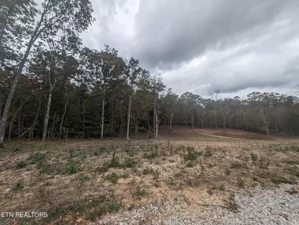 Deer Lodge, TN 37726,372 Perkins Trail Tr