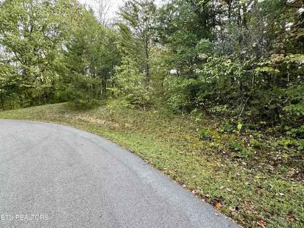 Sevierville, TN 37862,Lot 18 Healthy Ln