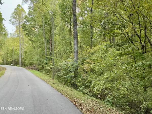 Sevierville, TN 37862,Lot 19 Heatley LN