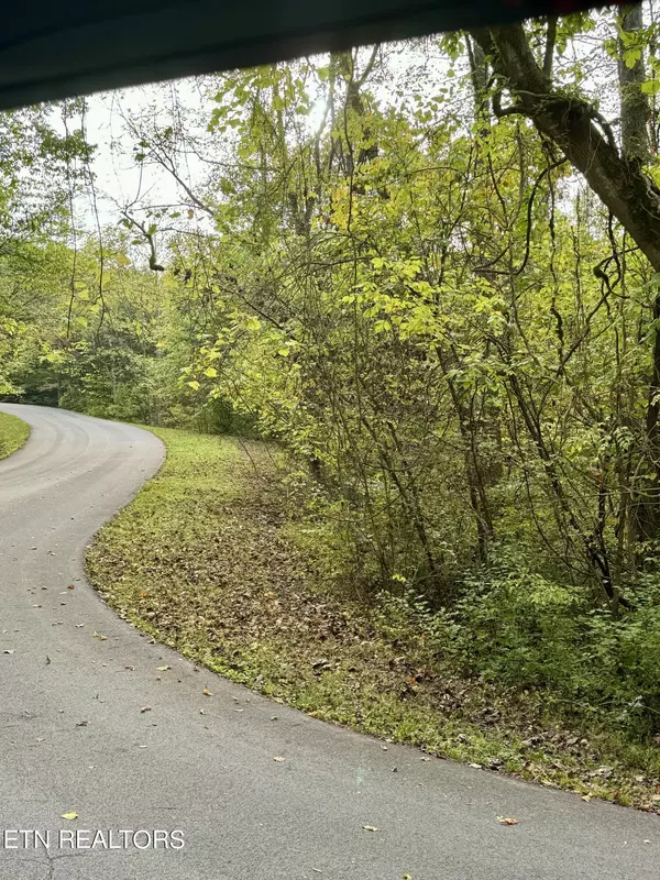 Sevierville, TN 37862,Lot 19 Heatley LN