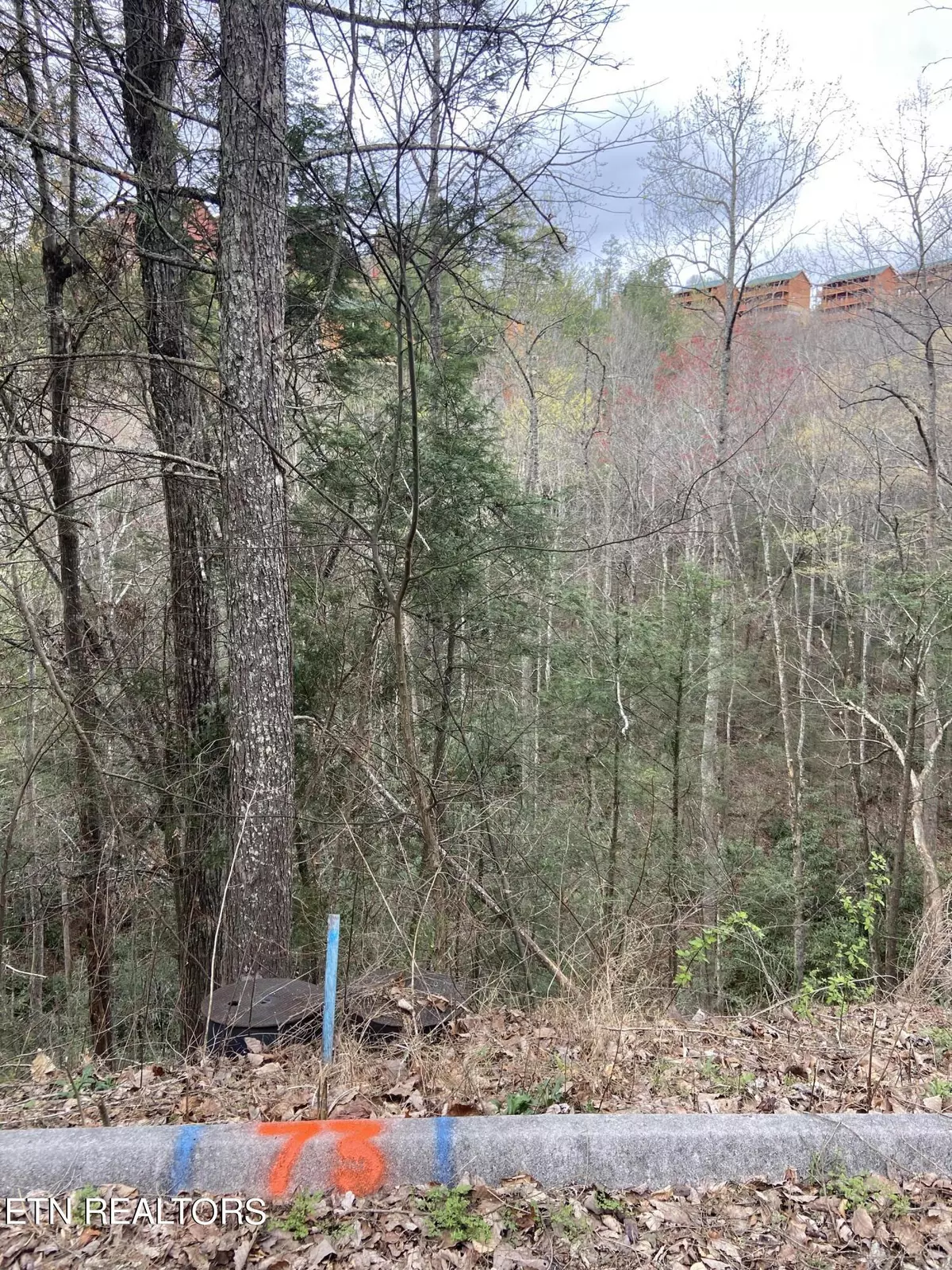 Sevierville, TN 37862,Lot 73 Smoky Ridge Way