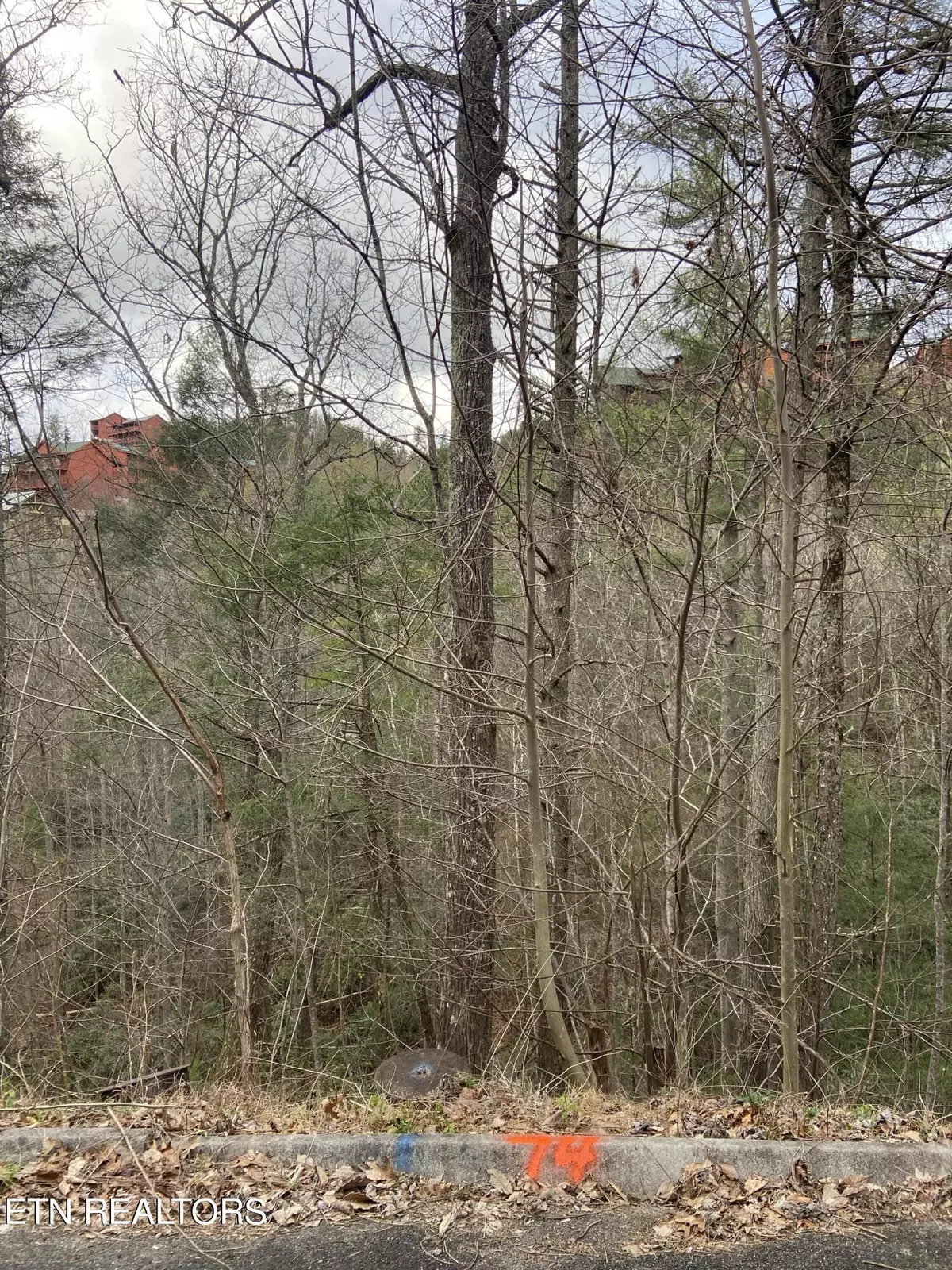 Sevierville, TN 37862,Lot 74 Smoky Ridge Way