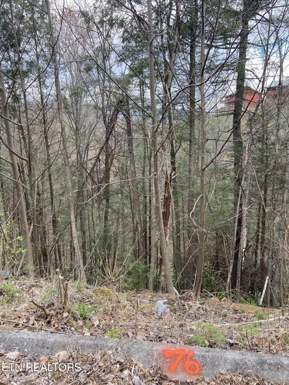 Sevierville, TN 37862,Lot 76 Smoky Ridge Way