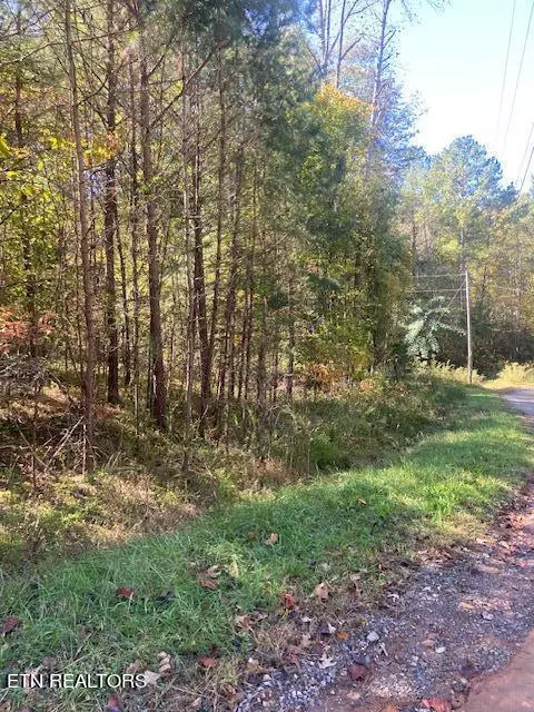 Lot 3 Welch Road Rd, Tellico Plains, TN 37385