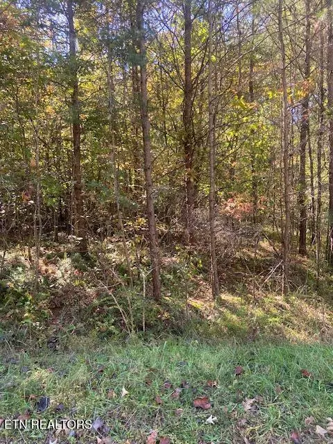 Tellico Plains, TN 37385,Lot 3 Welch Road Rd