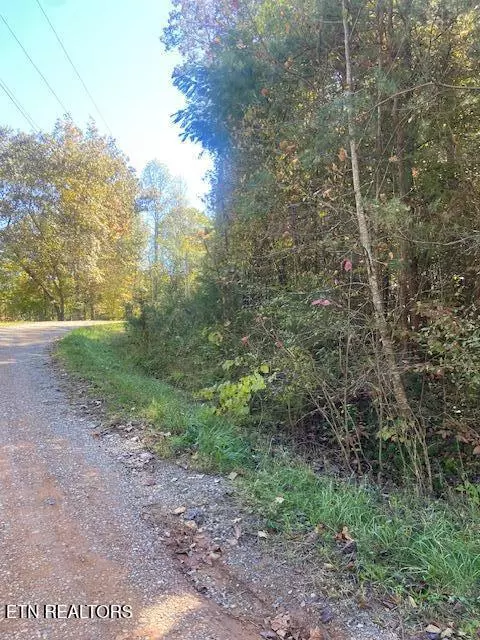 Tellico Plains, TN 37385,Lot 3 Welch Road Rd