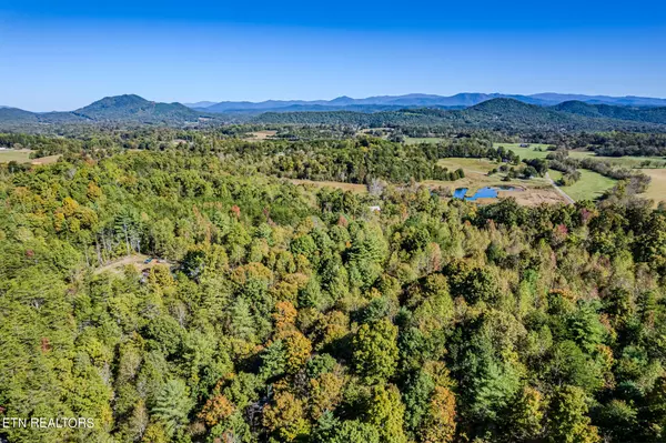 Tellico Plains, TN 37385,Payne Road