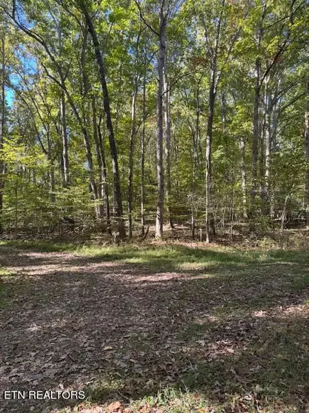 Lot 1210 Lee PL, Baneberry, TN 37890