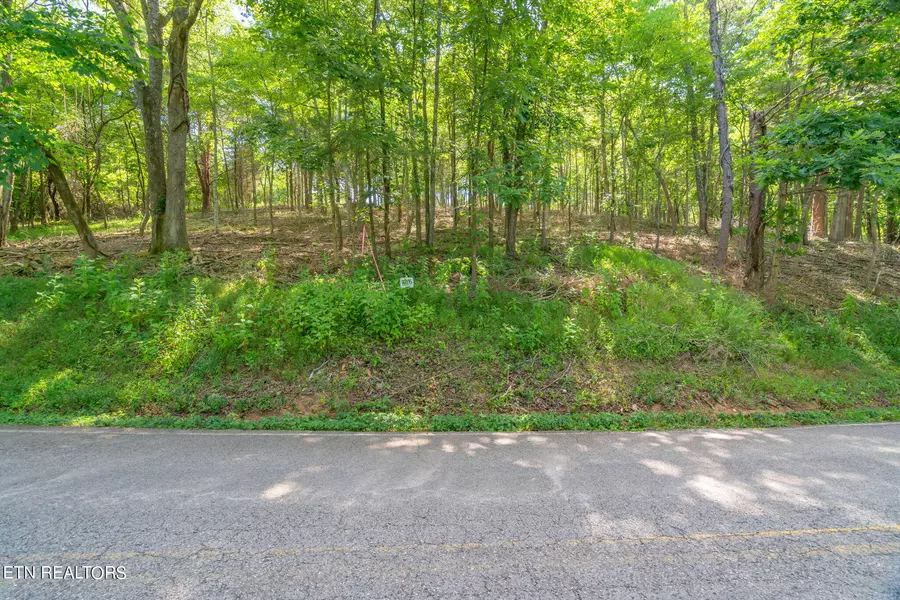 Lot 16 Little Dogwood Rd, Kingston, TN 37763