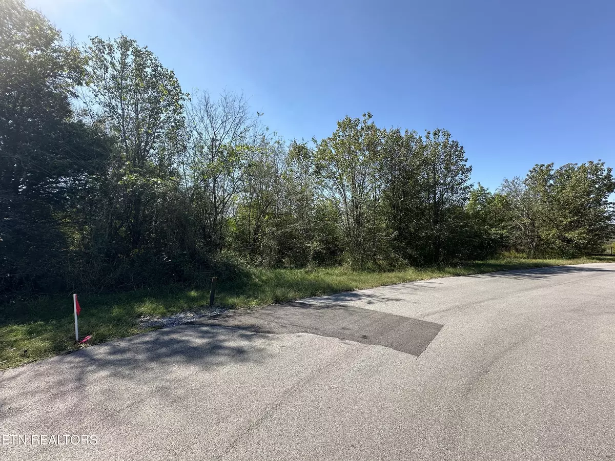 Sevierville, TN 37862,Lot 33 Lisa DR