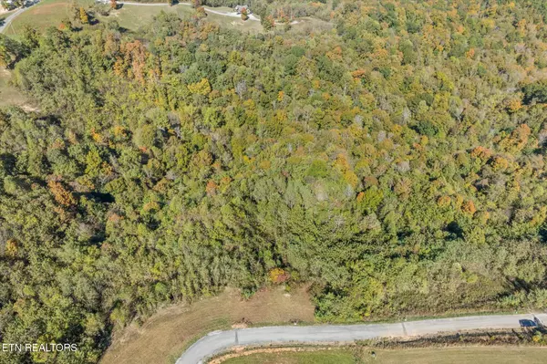 Hilham, TN 38568,0 Rockfish Road