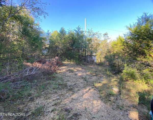 Powder Springs Rd, Sevierville, TN 37876