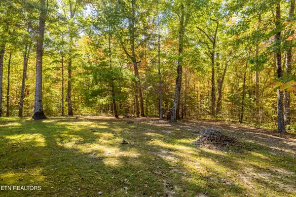 Tallassee, TN 37878,6026 Deer Trot Tr