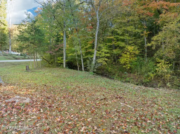 Tellico Plains, TN 37385,431 Lick Creek Rd