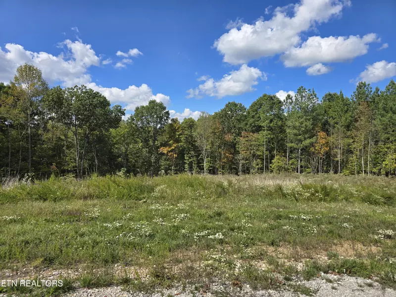 Lot 1 Off of Old Rugby Rd, Robbins, TN 37852