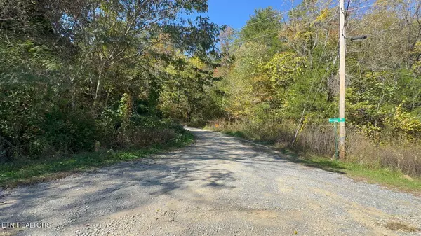 Padgett Mill Rd #Off, Cosby, TN 37722