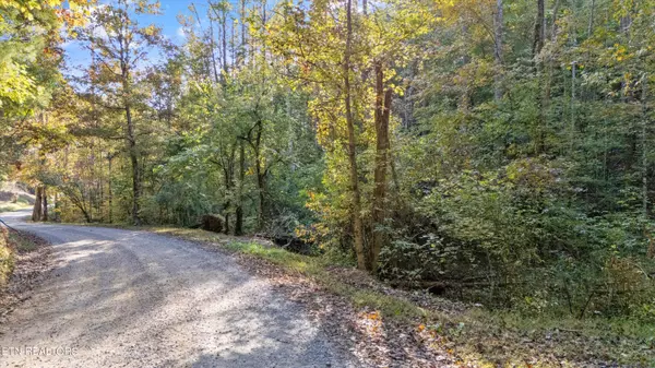 Sevierville, TN 37862,Sulpher Springs WAY