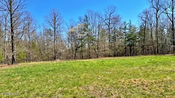 Sunbright, TN 37872,Lot 9 Crest View Drive