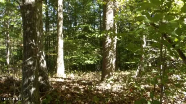 Lot 2 Inland Court, Sparta, TN 38583