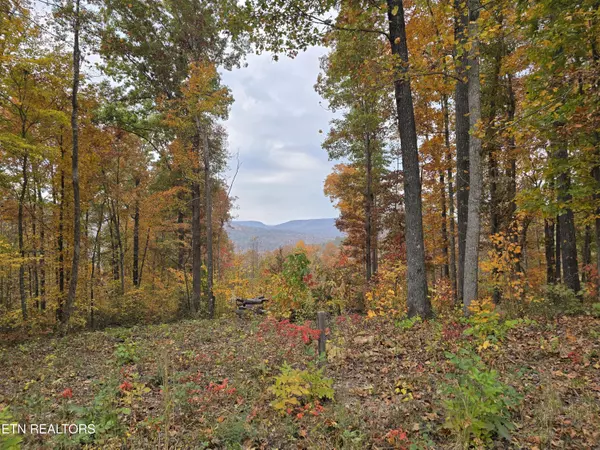 Jamestown, TN 38556,Lot 73 Tomahawk Rd